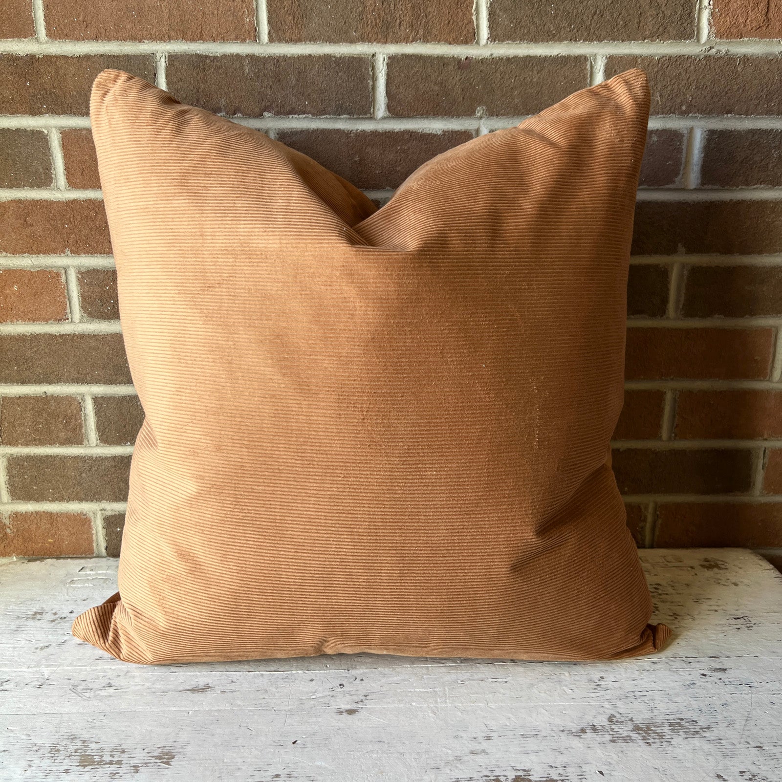 22" x 22" Pillow