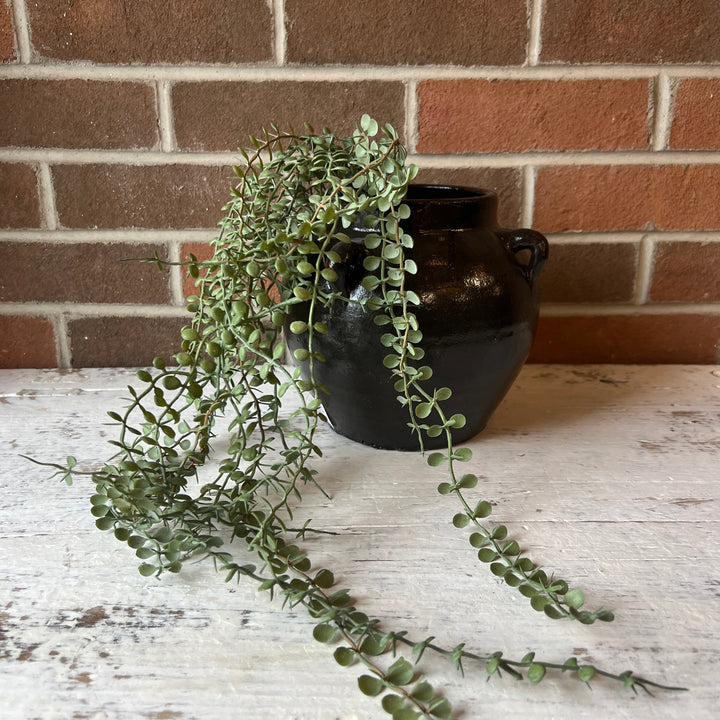 Button Leaf Stem