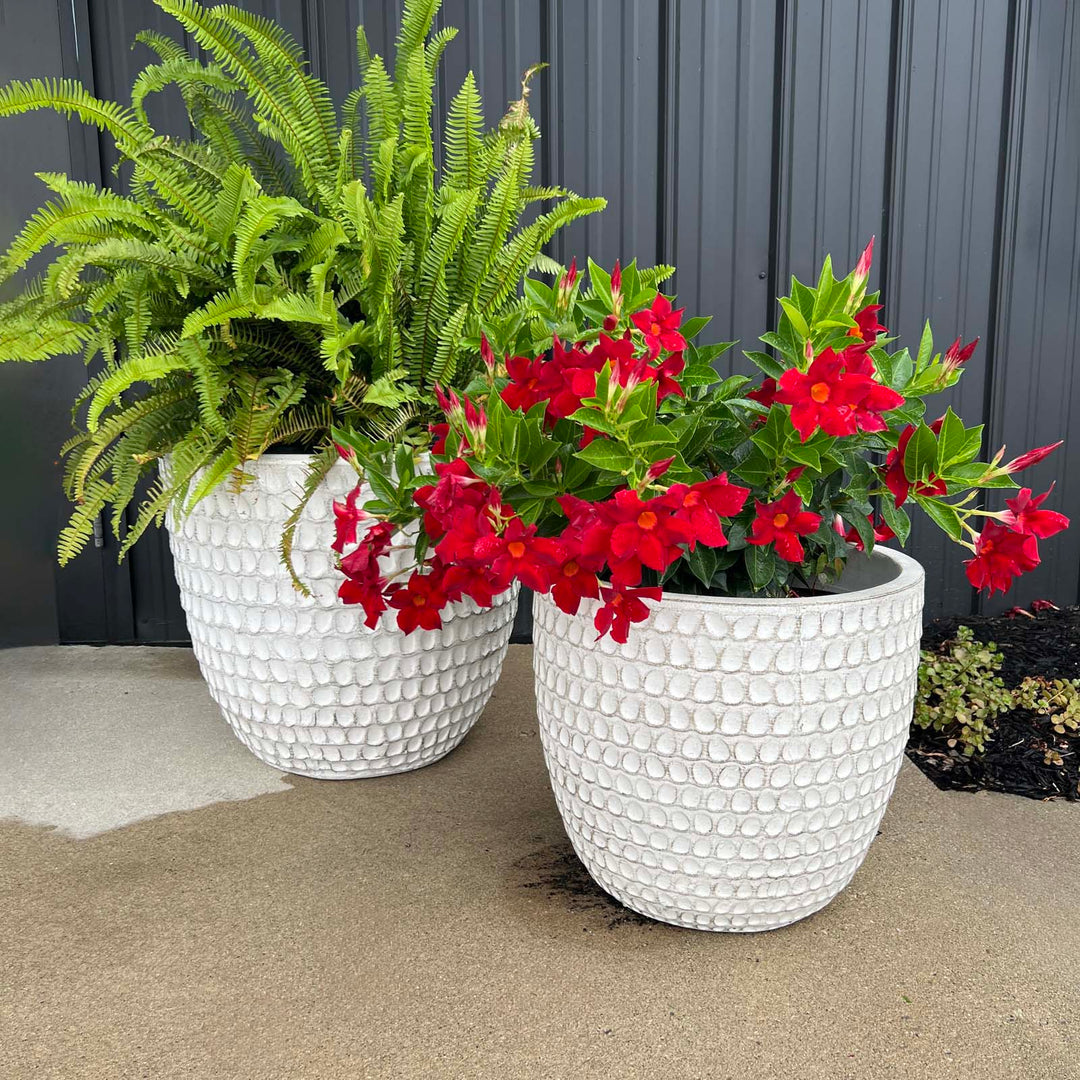 warehouse plant pots Nellie Pot – Trove Warehouse
