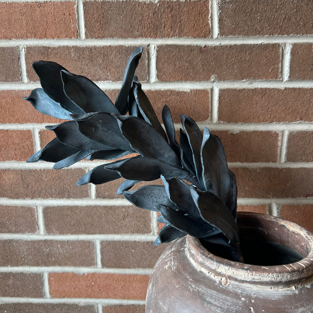Botanica #3564
