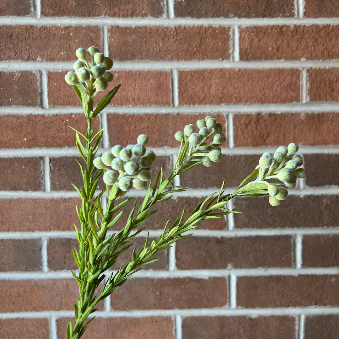 Leucadendron Berry Spray