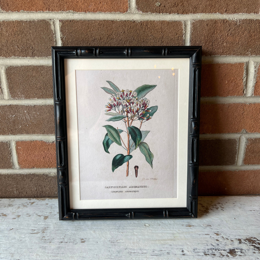 8" x 10" Castleford Matted Frame