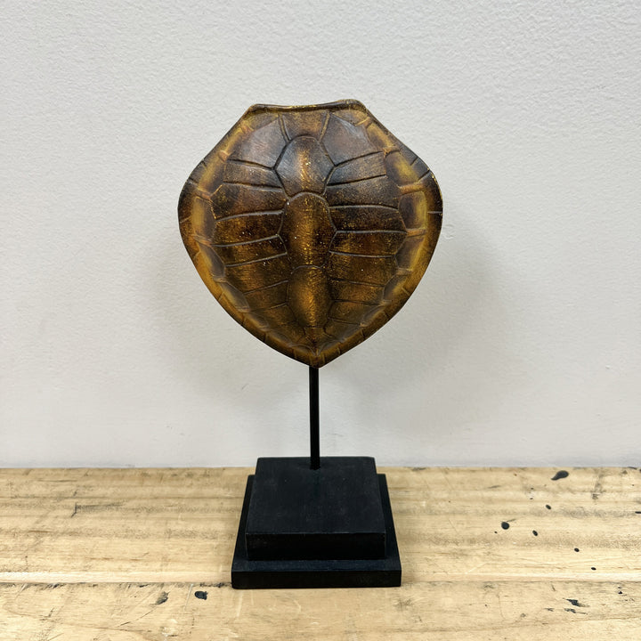 Faux Olive Ridley Turtle Shell