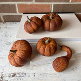 Orange Pumpkin & Gourd Set