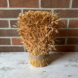 Dried Harvest Grass