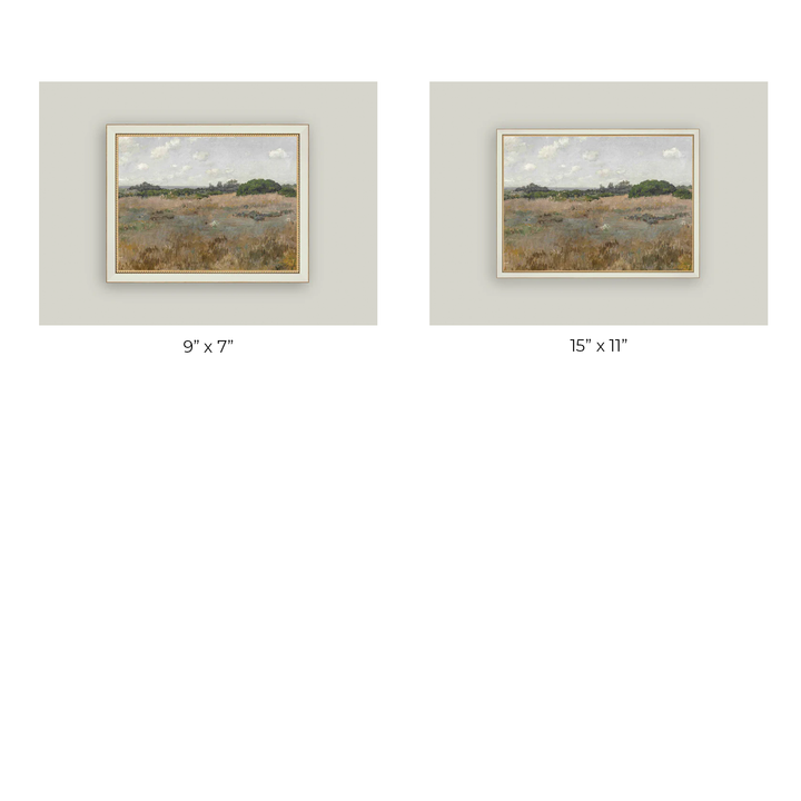 Meadow by the Shoreline