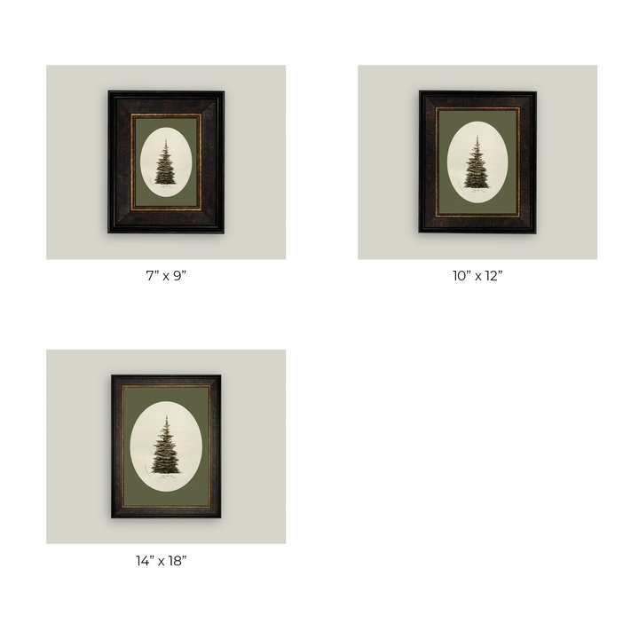Oval Matte Tree