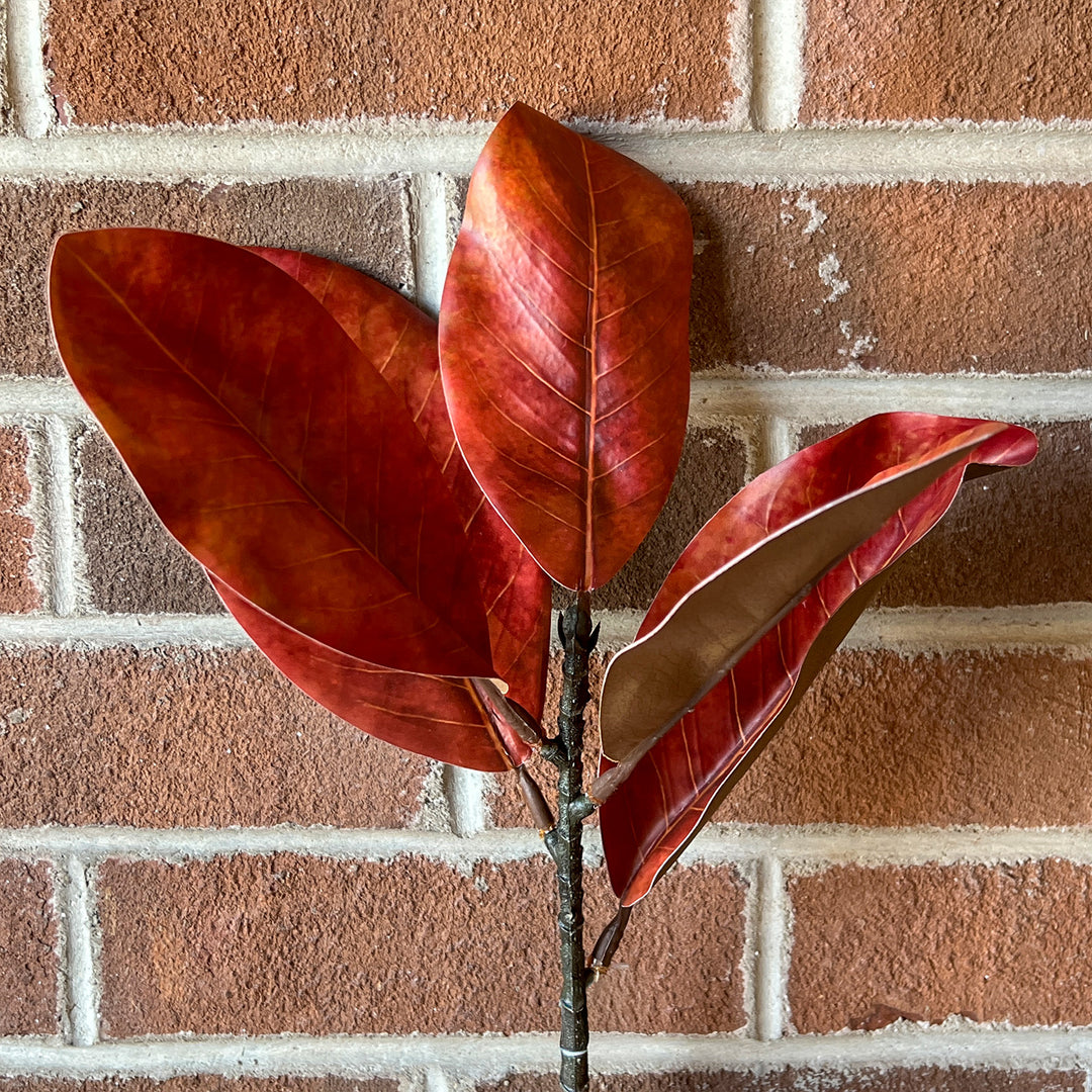 Magnolia Pick - Paprika