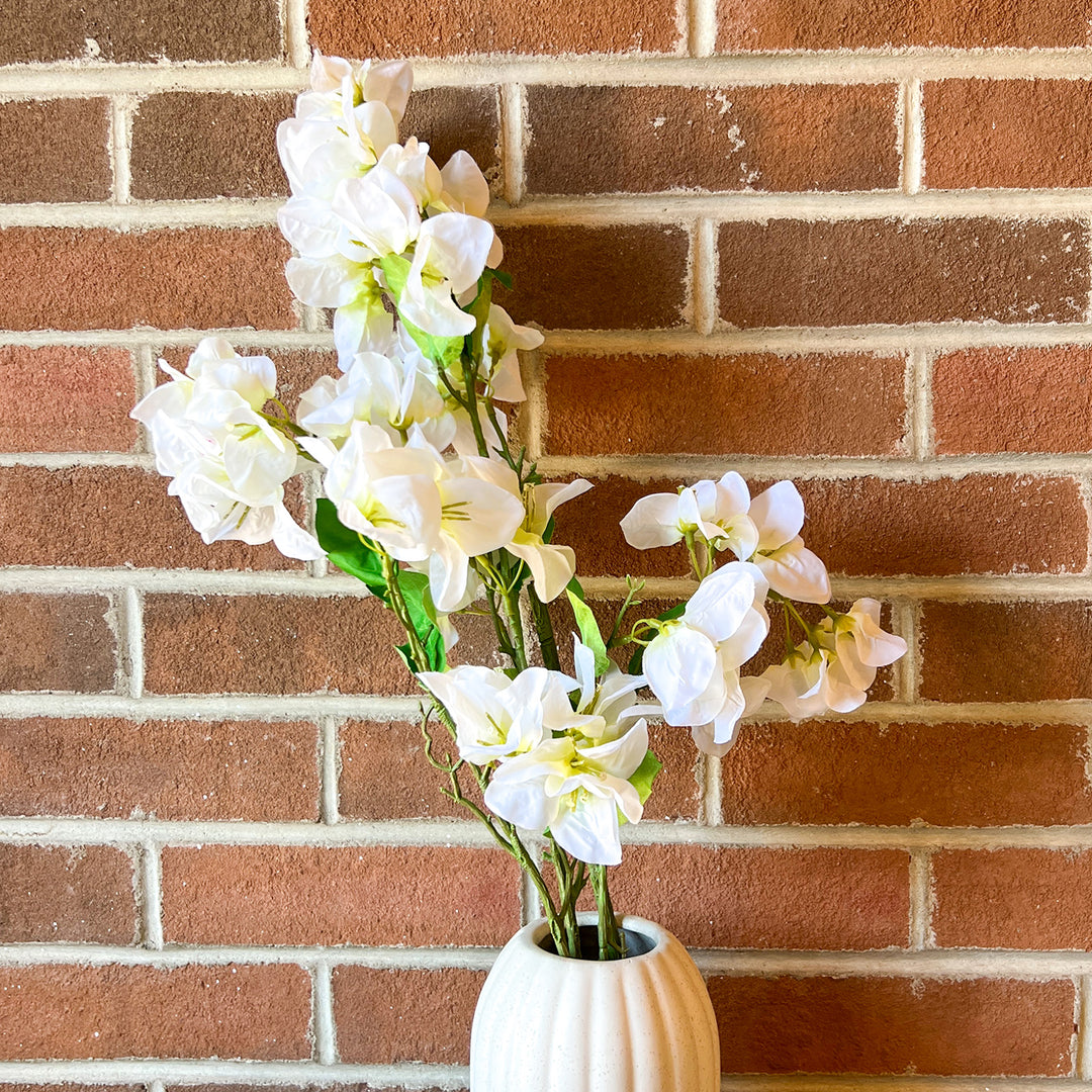 Bougainvillea Bridal
