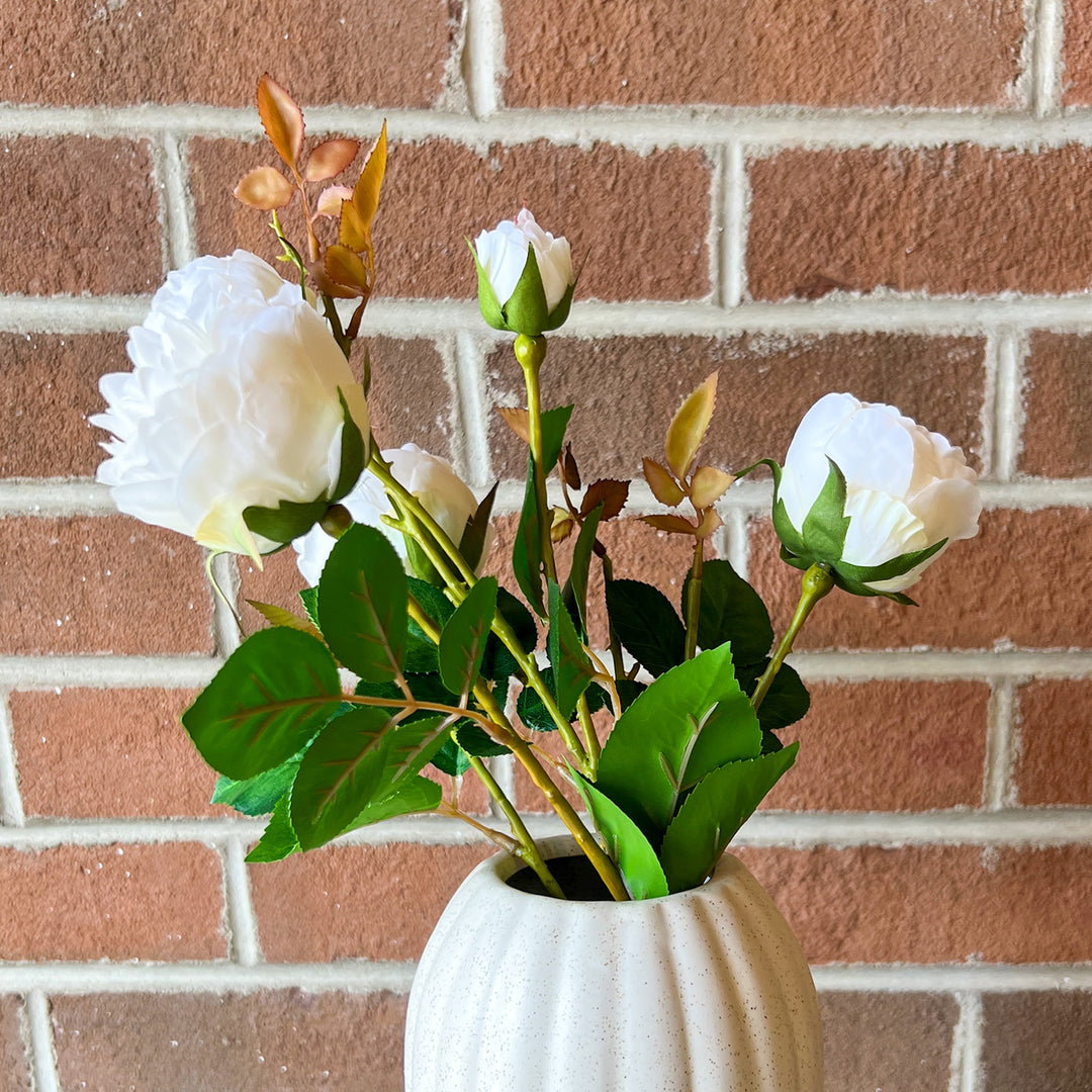 White Floribunda Rose