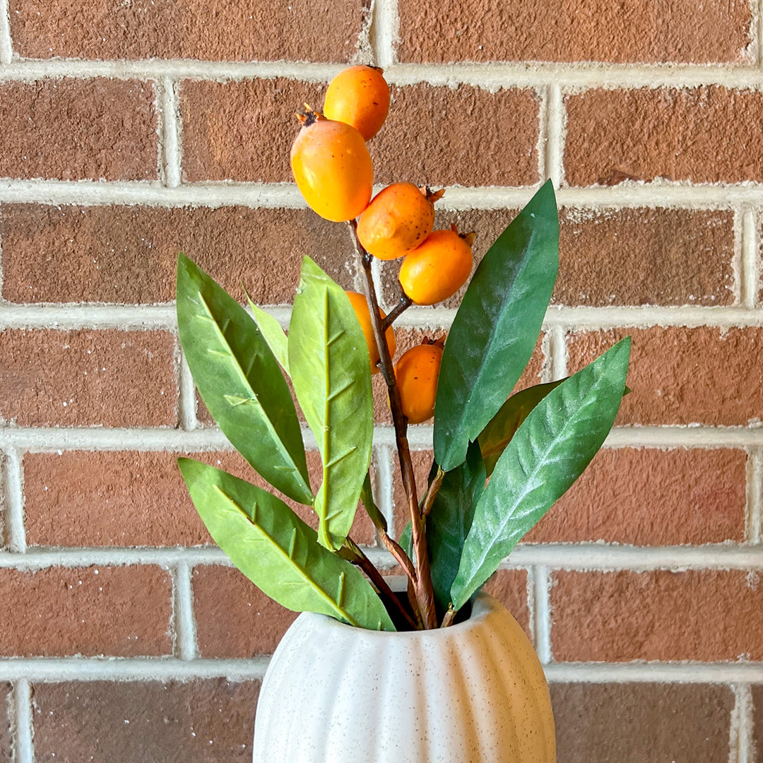 Loquat Stem