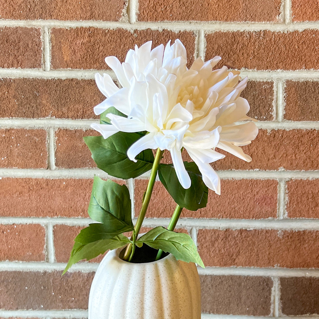 White Dahlia Stem