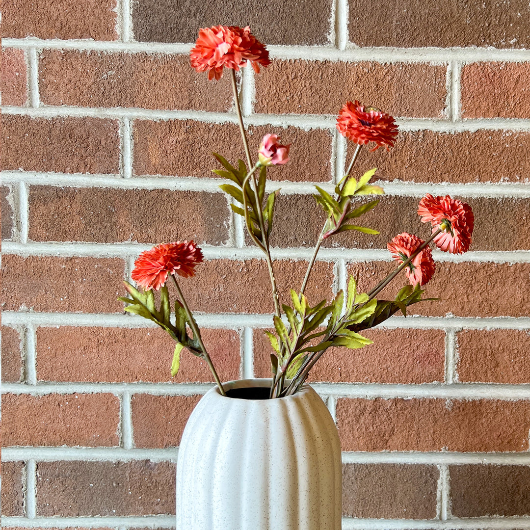 Aster - Salmon