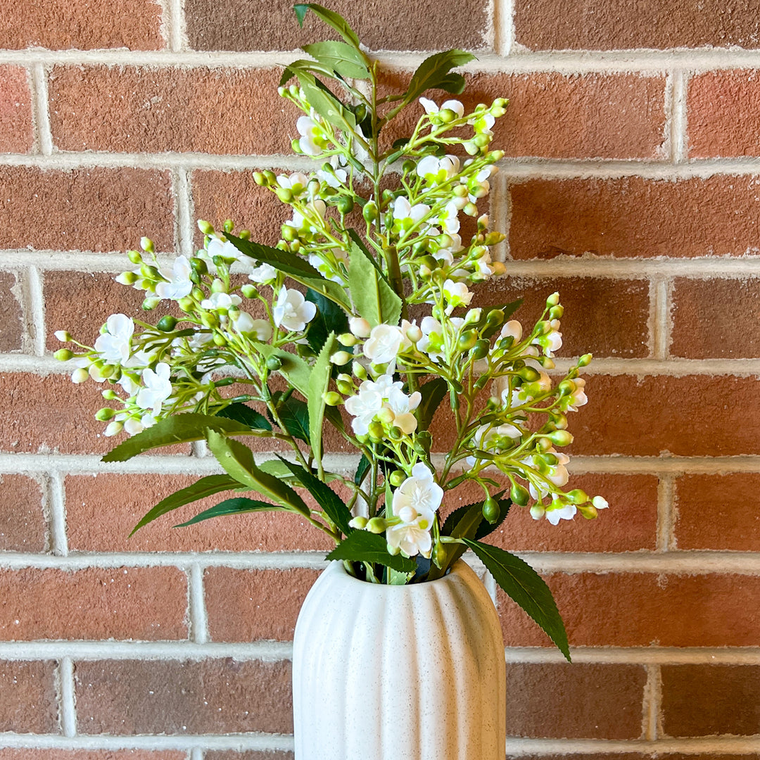 White Tea Tree Branch
