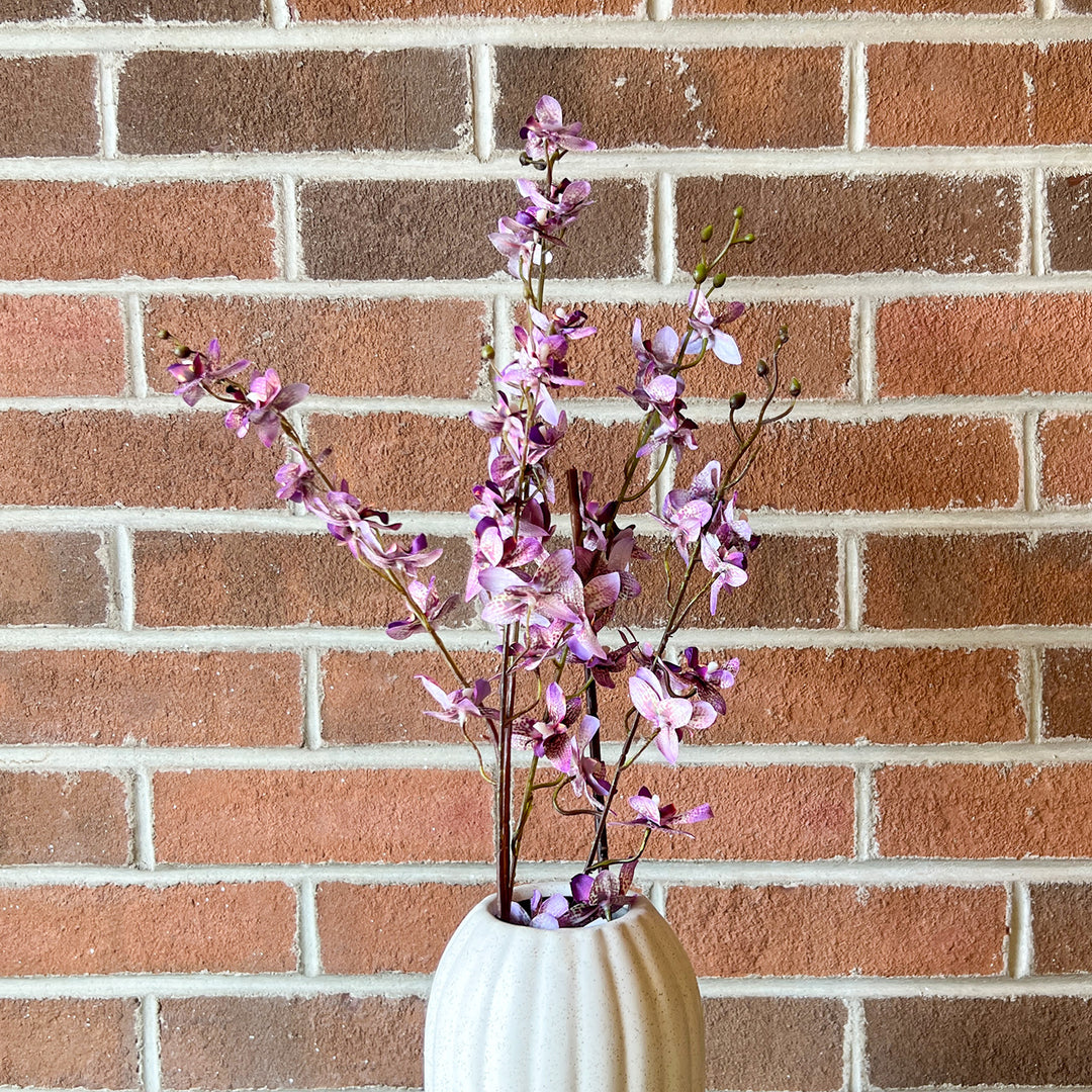 Garden Orchid - Lavender