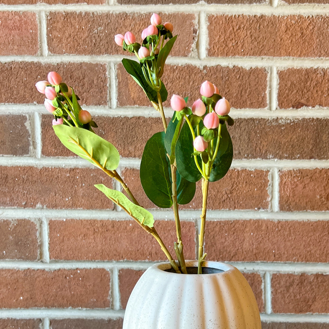 Pink Hypericum Berry