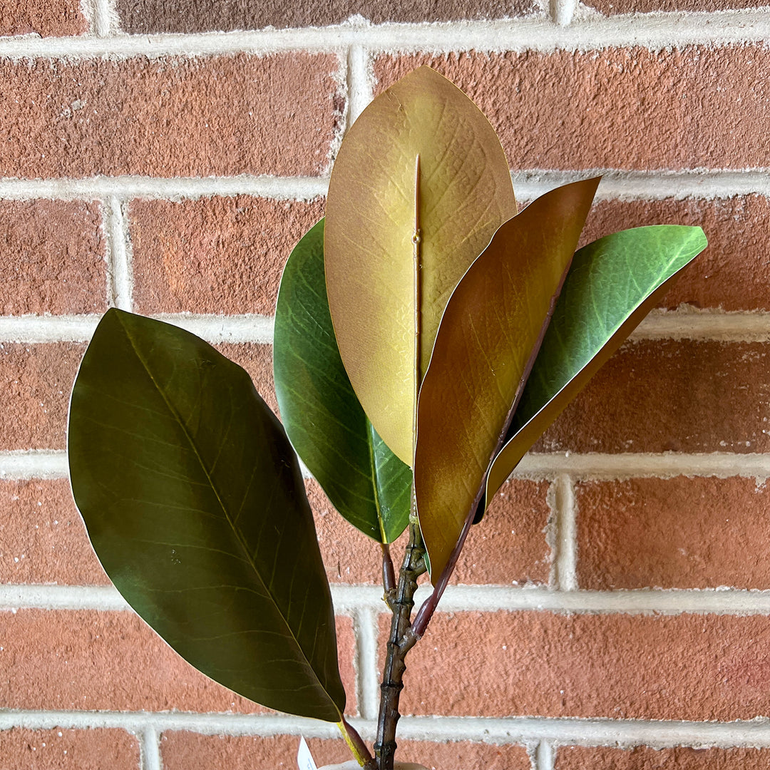 Magnolia Pick