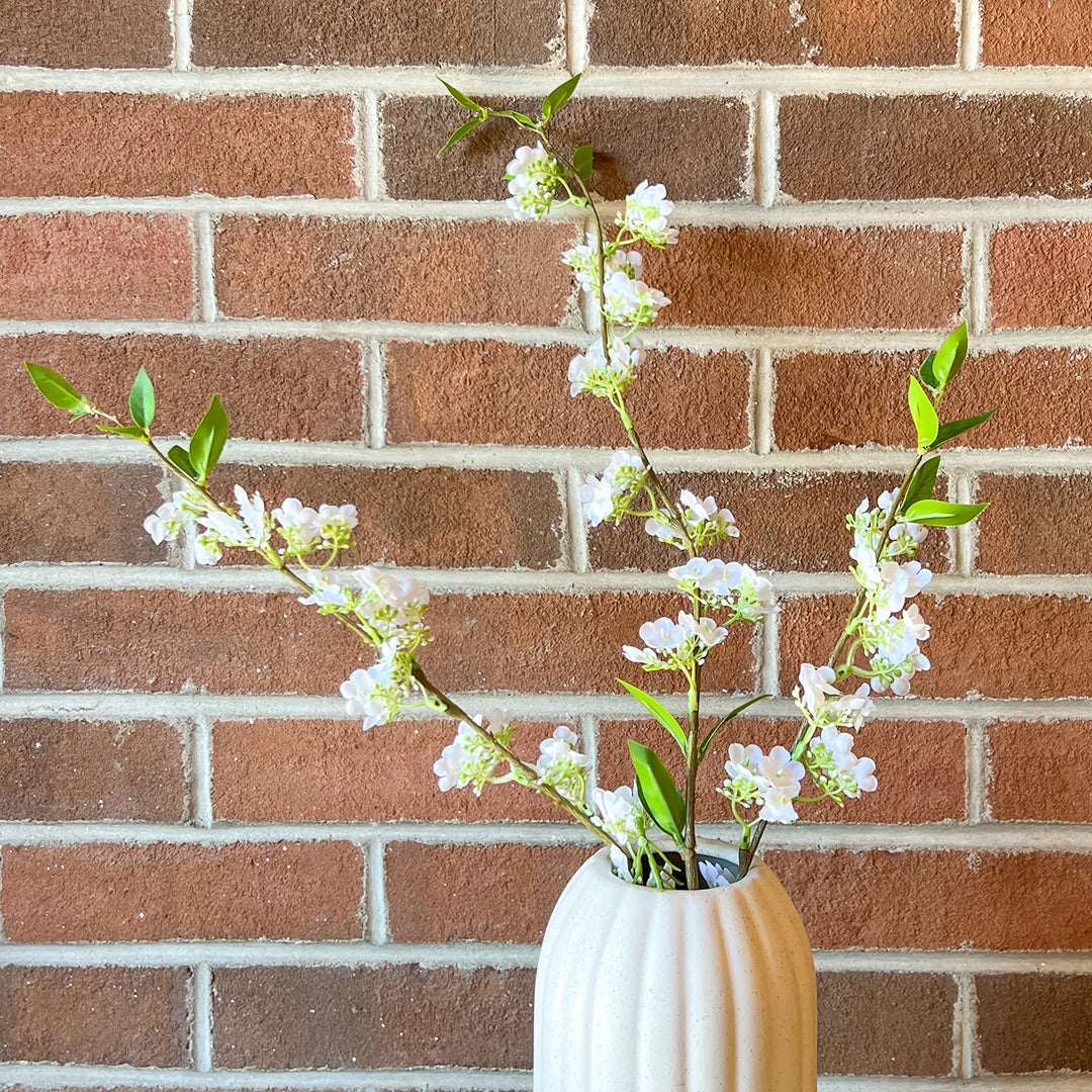Spirea Green White