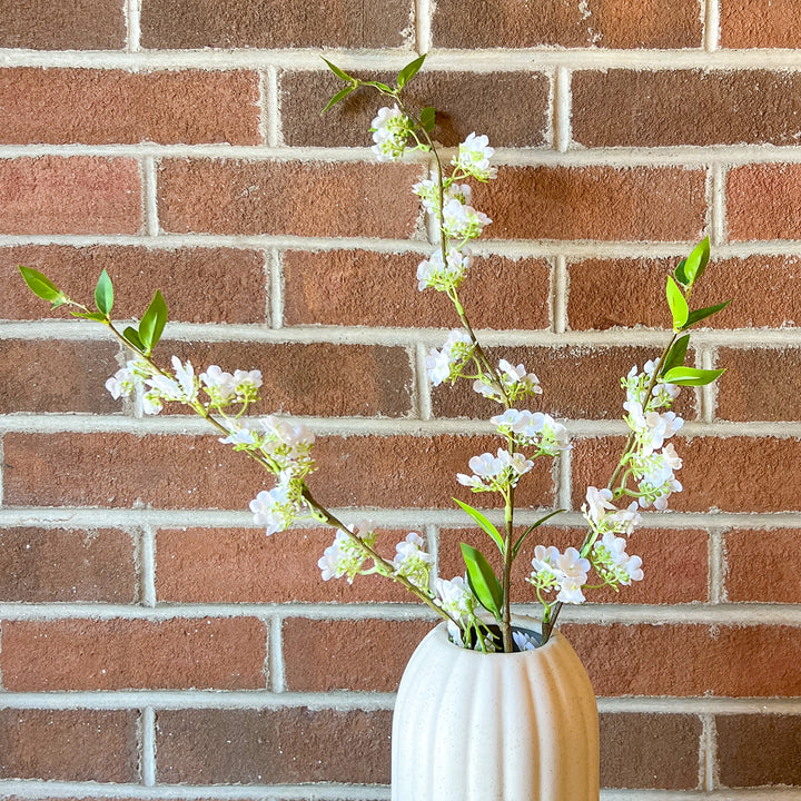 Spirea Green White