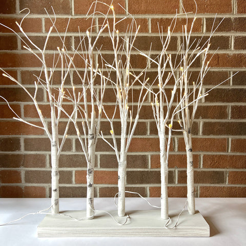 Birch Lighted Grove