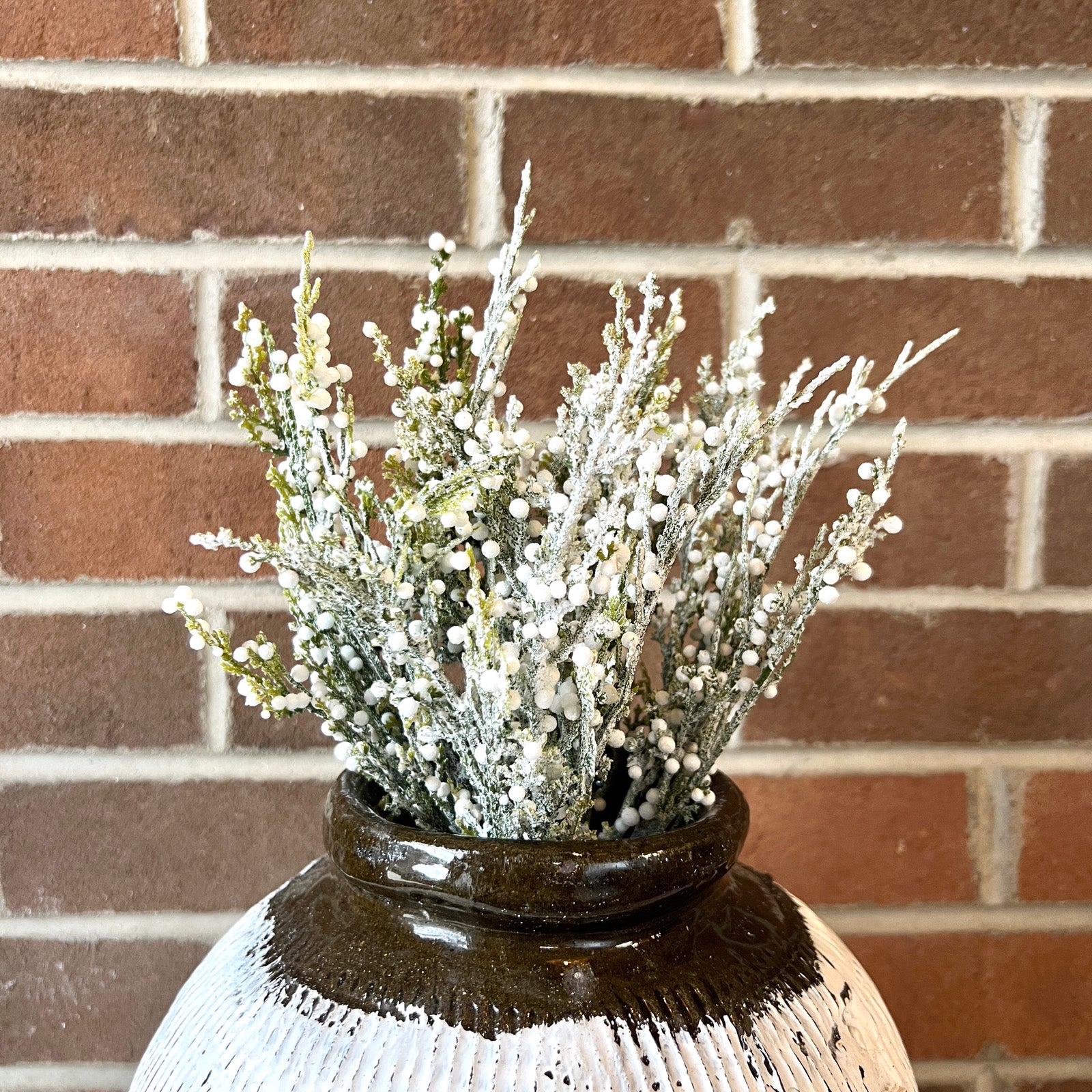 Frost Berry Bush