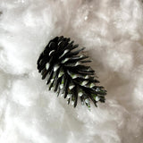 Pinecone Pick