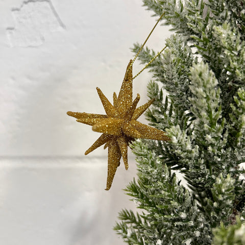 Glitter Star Ornament