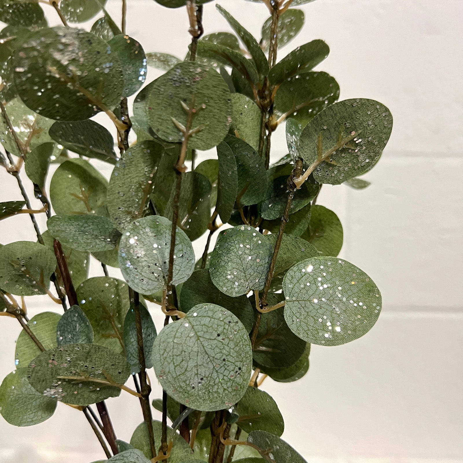 Eucalyptus Bush