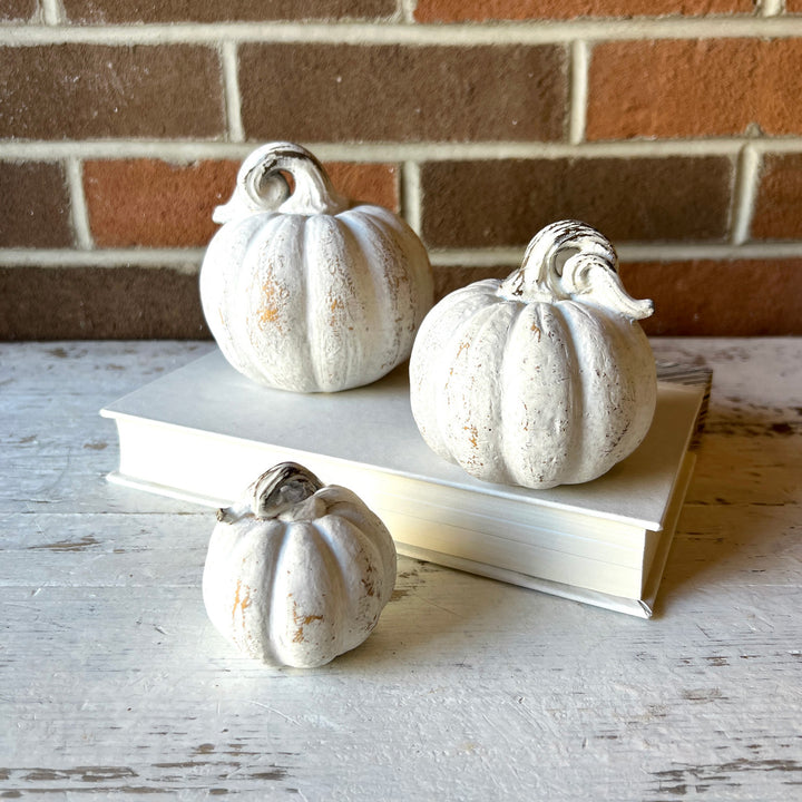 White Pumpkin