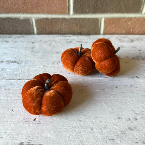 Mini Velvet Pumpkin - Brown