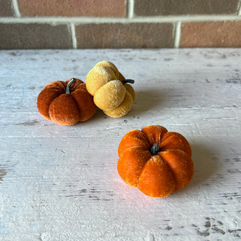 Mini Velvet Pumpkins - Multi