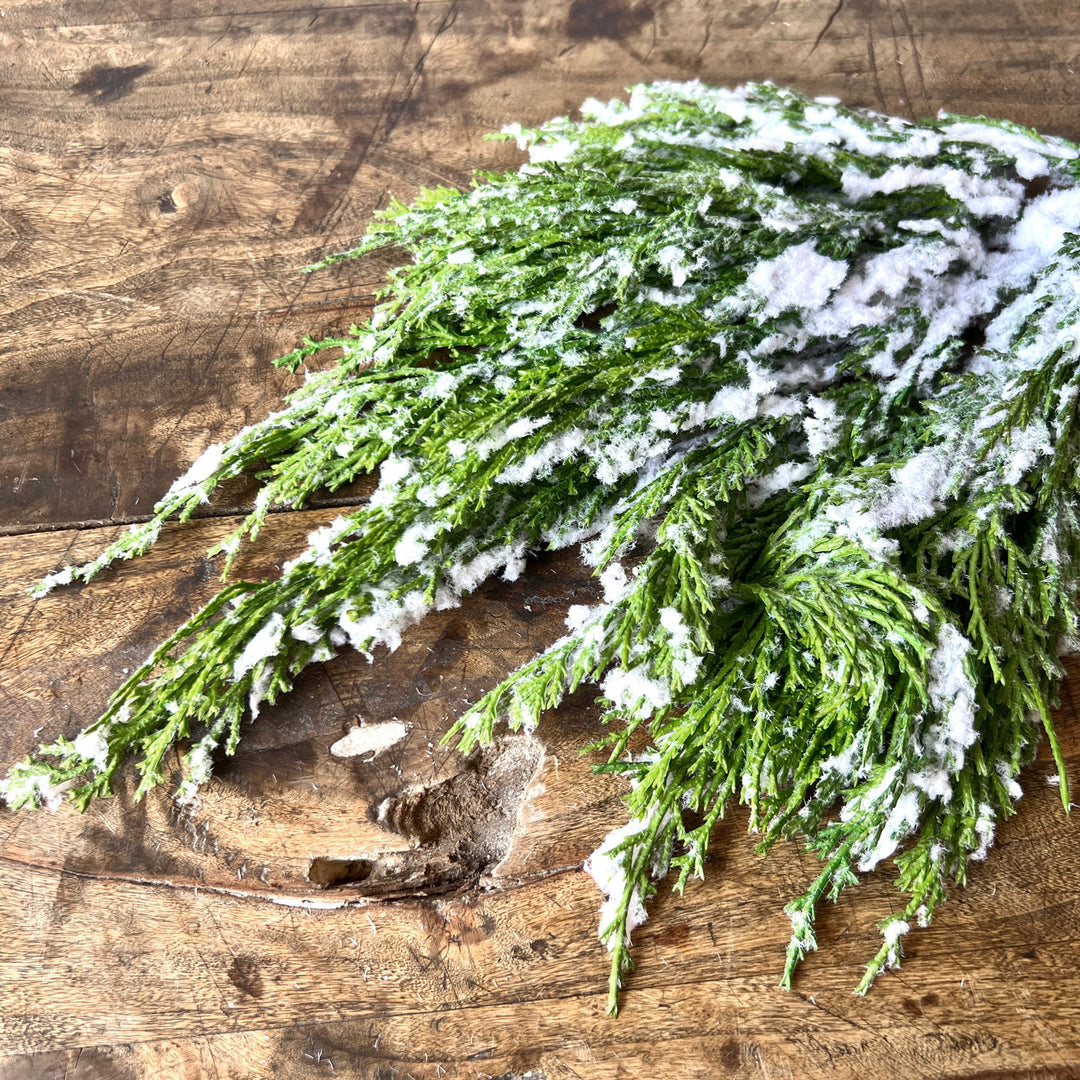 Snowy Cedar Pick