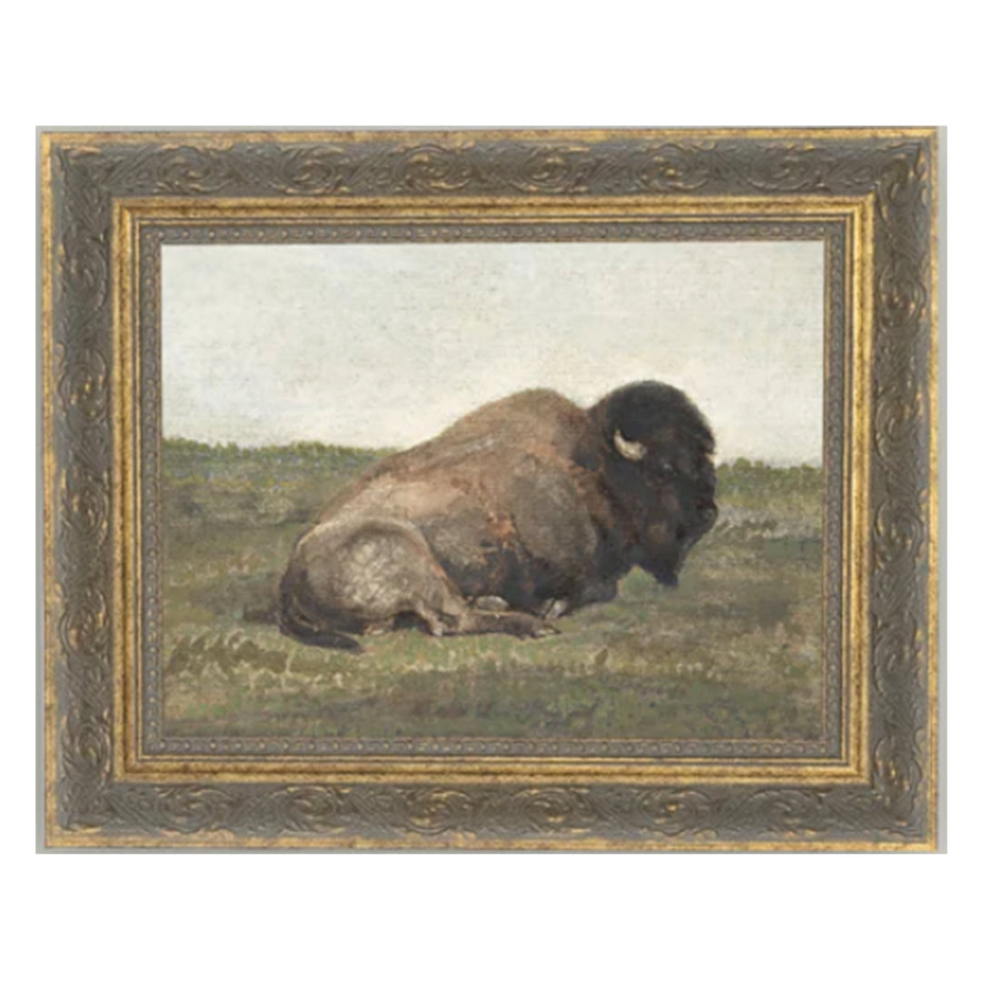 Resting Bison