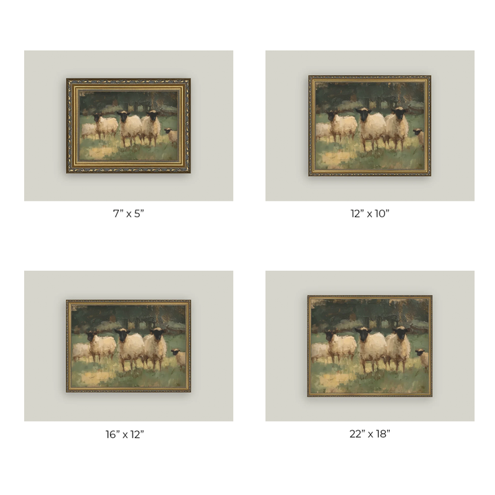 Sheep Pasture