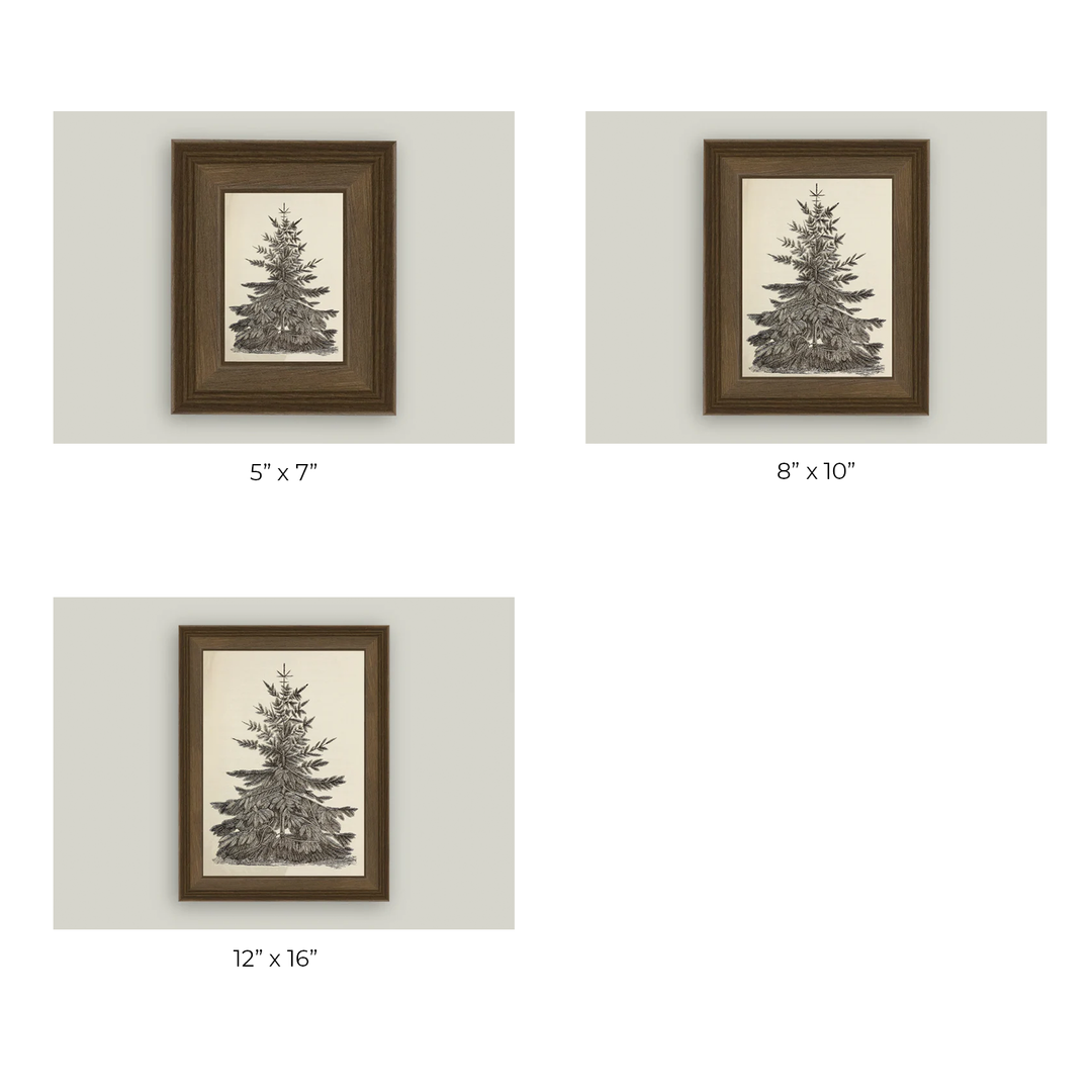 Vintage Pine Tree