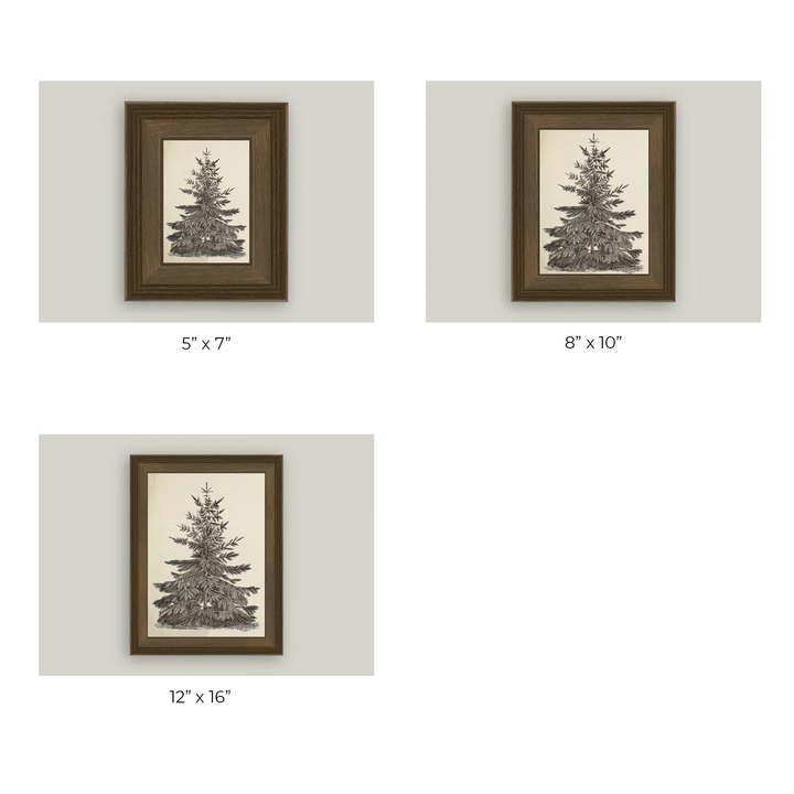 Vintage Pine Tree