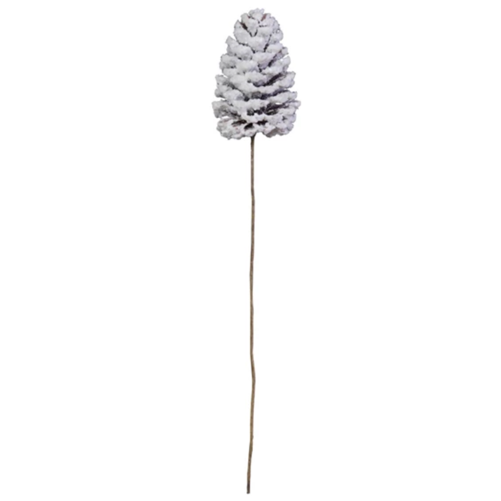 Pinecone Pick