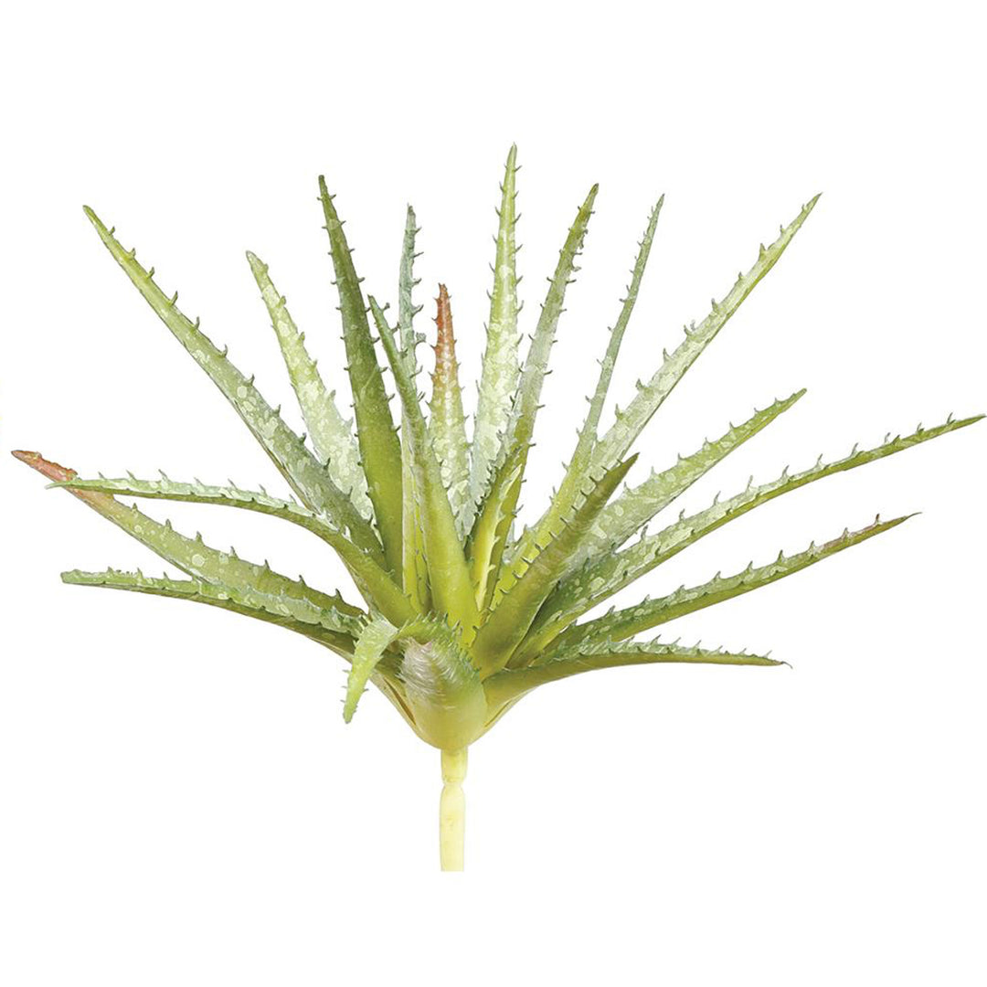 Aloe Pick