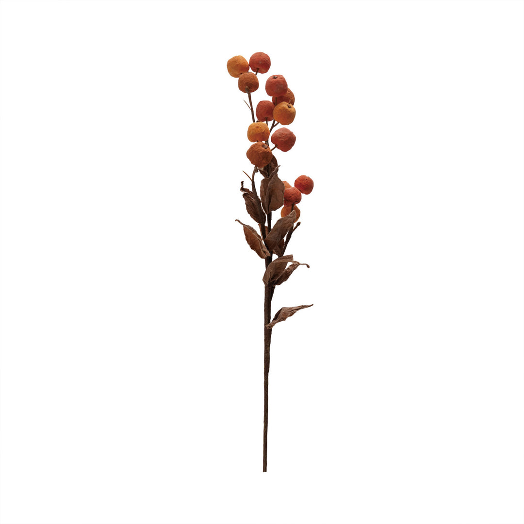 Orange & Cream Branch