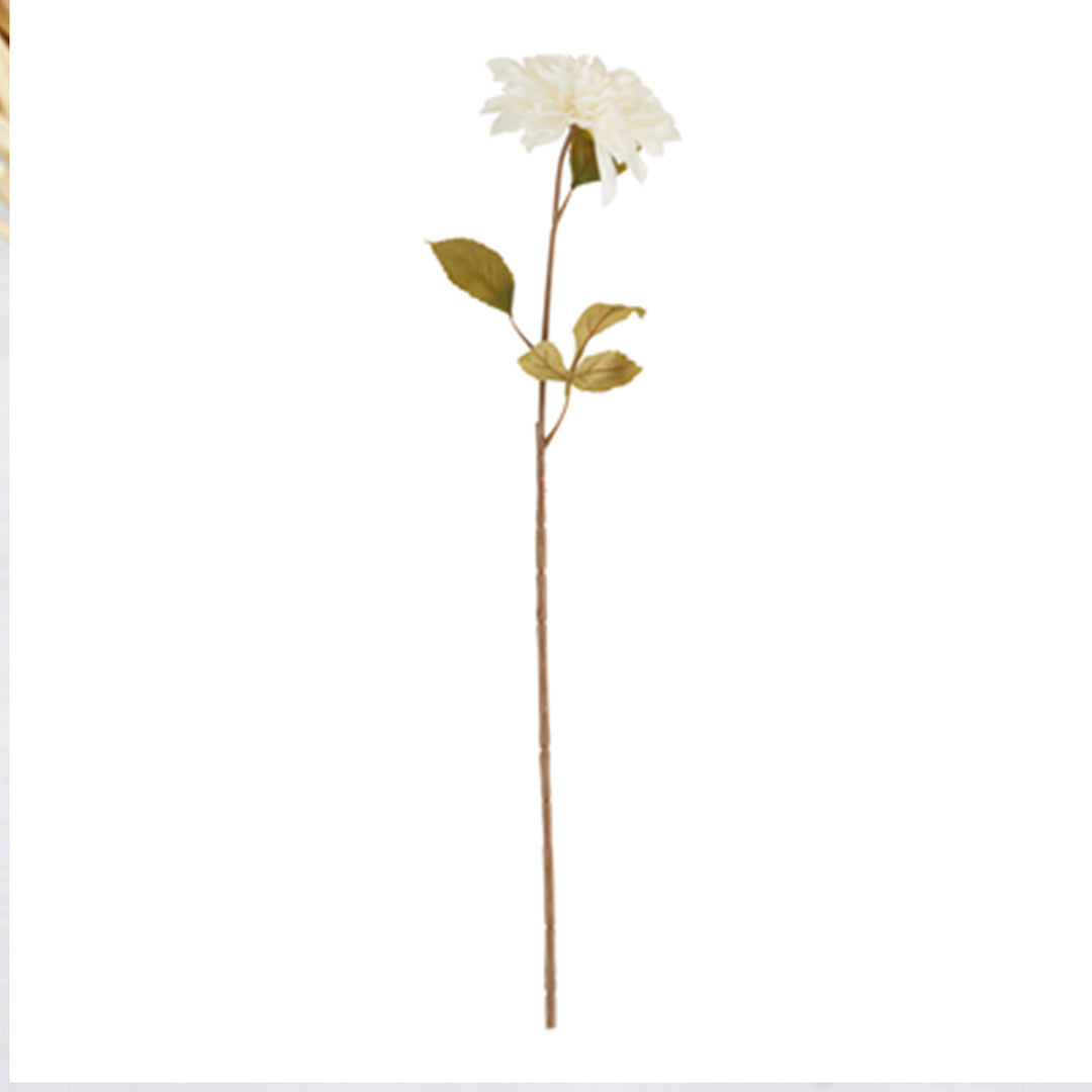 Dahlia Stem