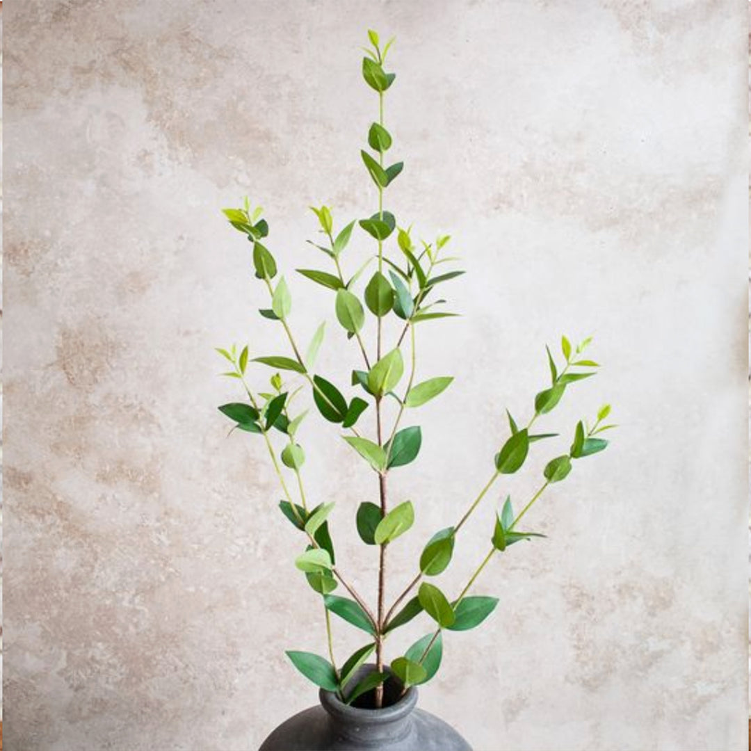 Eucalyptus Spray