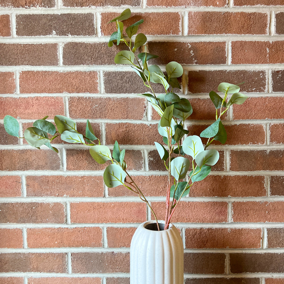 Blue Gum Eucalyptus Stem