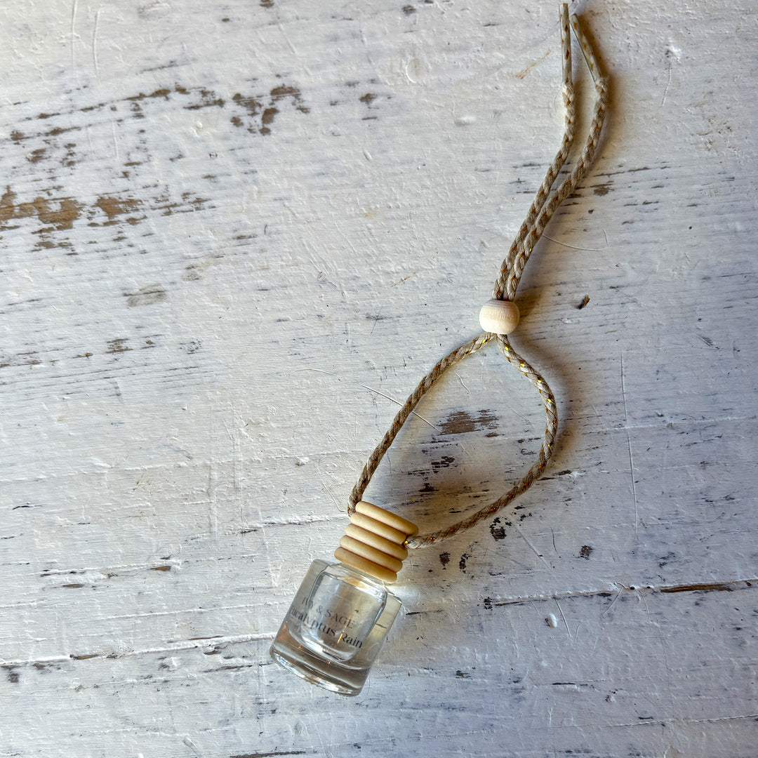 Eucalyptus Rain Car Diffuser