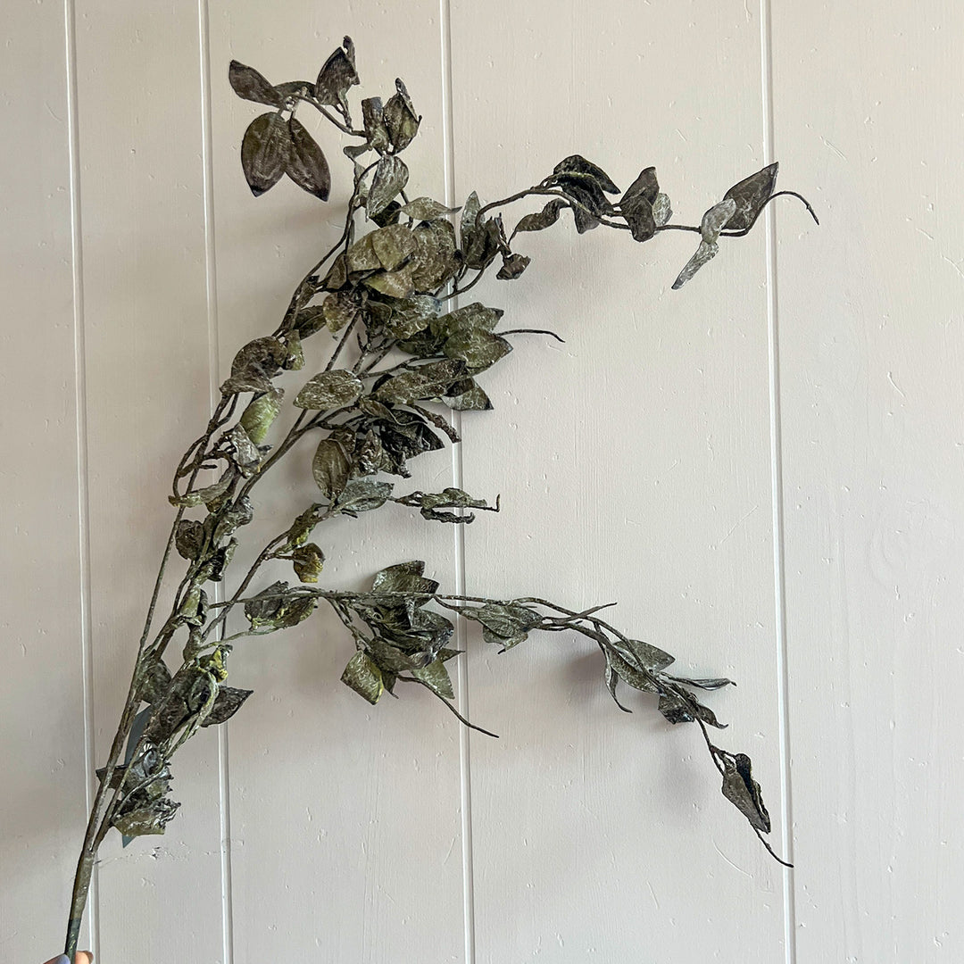 Smoked Eucalyptus Spray