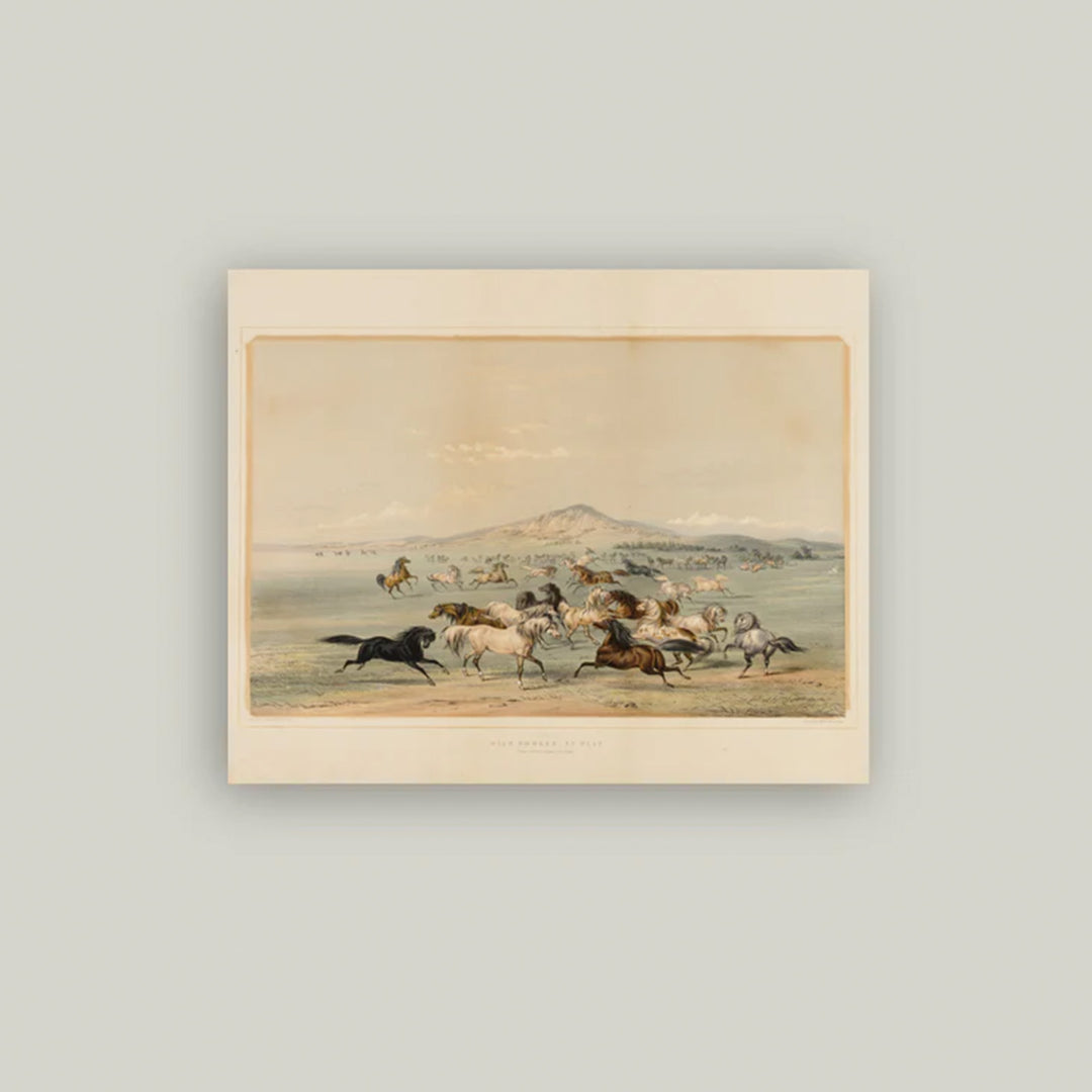 Field of Horses Artist Board