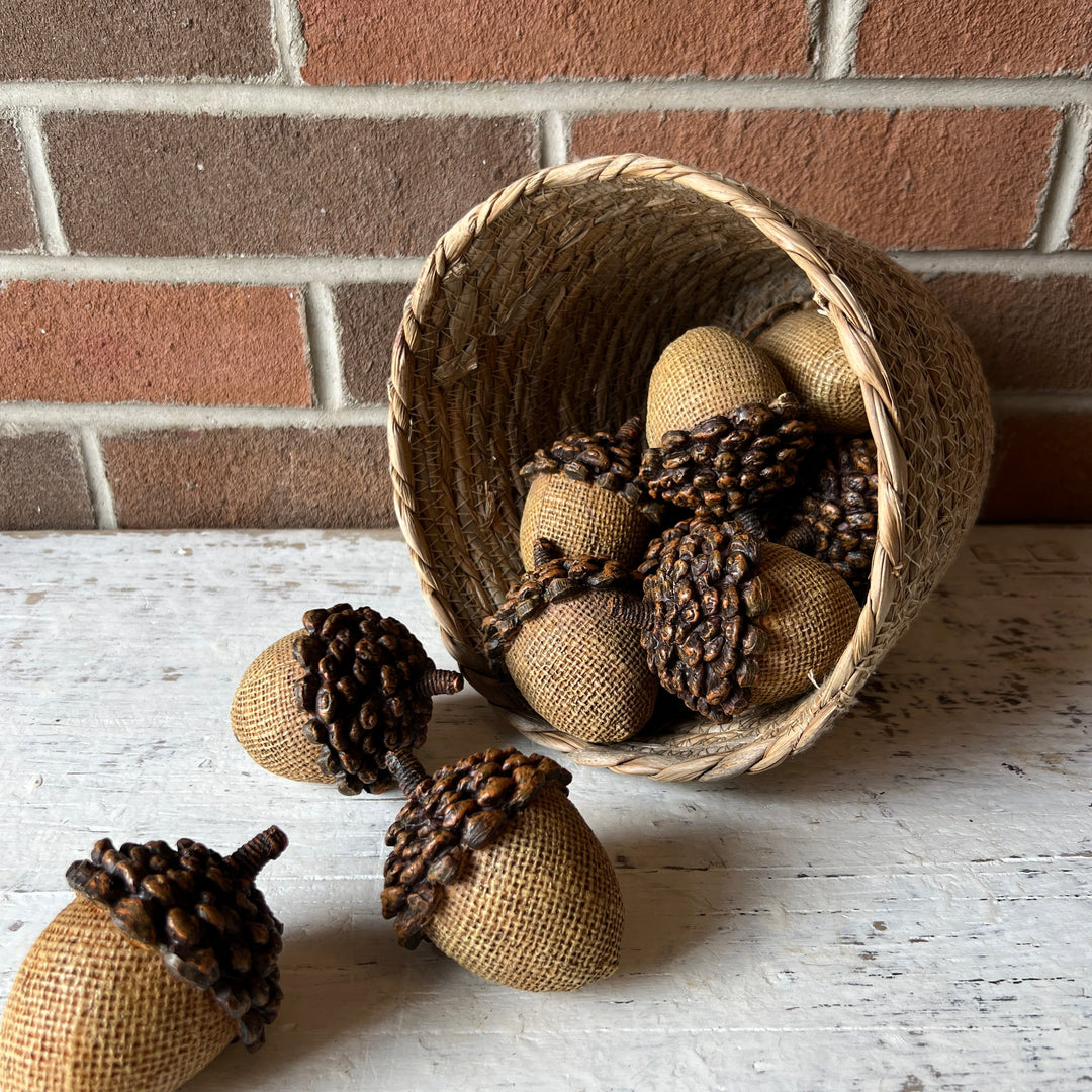 Light Brown Acorn