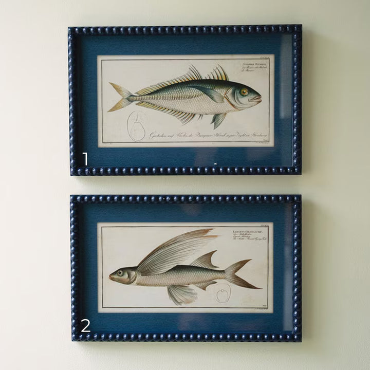 Fish Art
