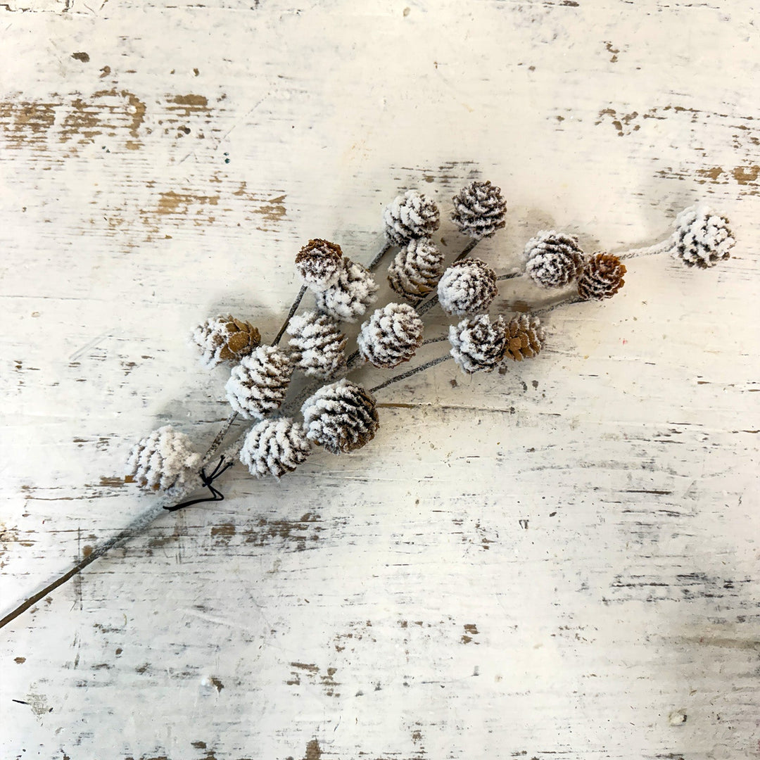 Pinecone Stem w/ Snow Finish