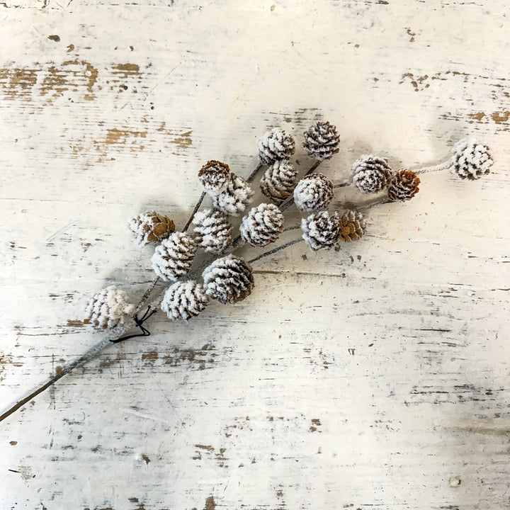 Pinecone Stem w/ Snow Finish