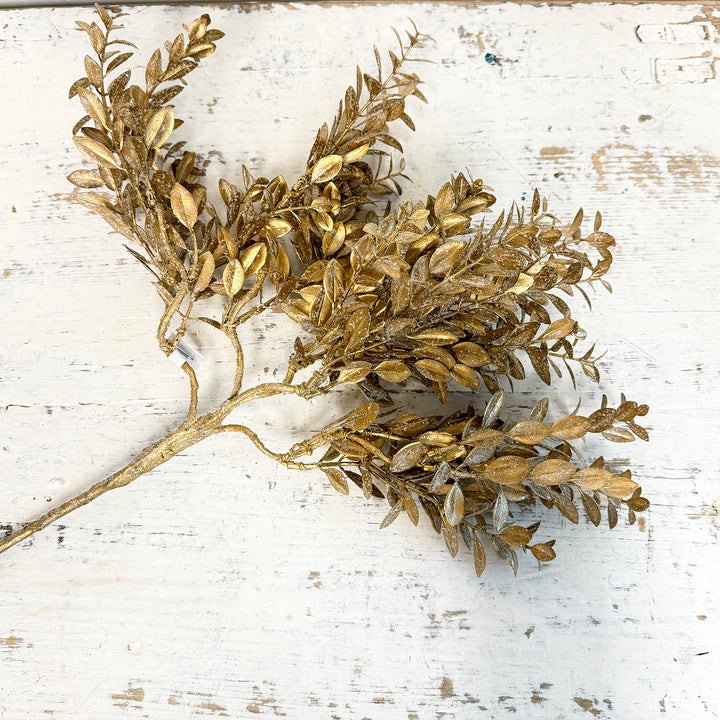 Glittered Boxwood - Champagne